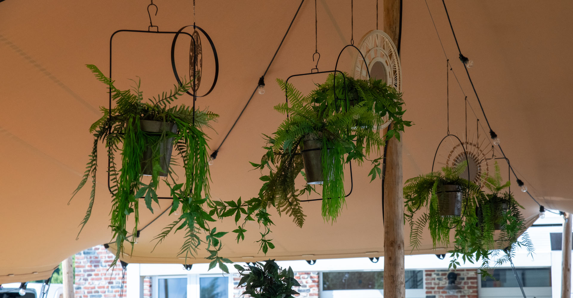 Planten